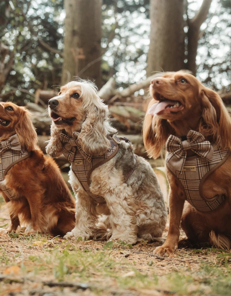 Pup Plaid Collar