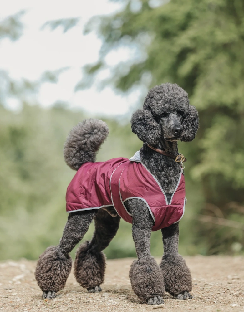 Drywalks Dog Coat Plum/Plum