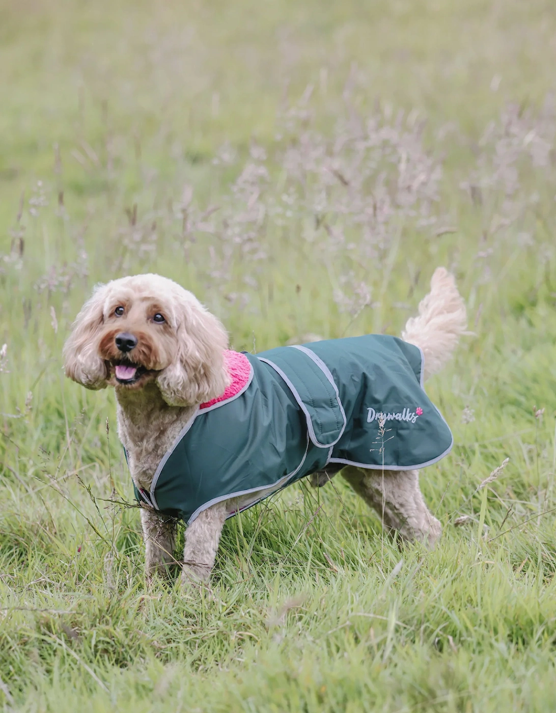 Drywalks Dog Coat Forest Green/Pink, 4 of 3