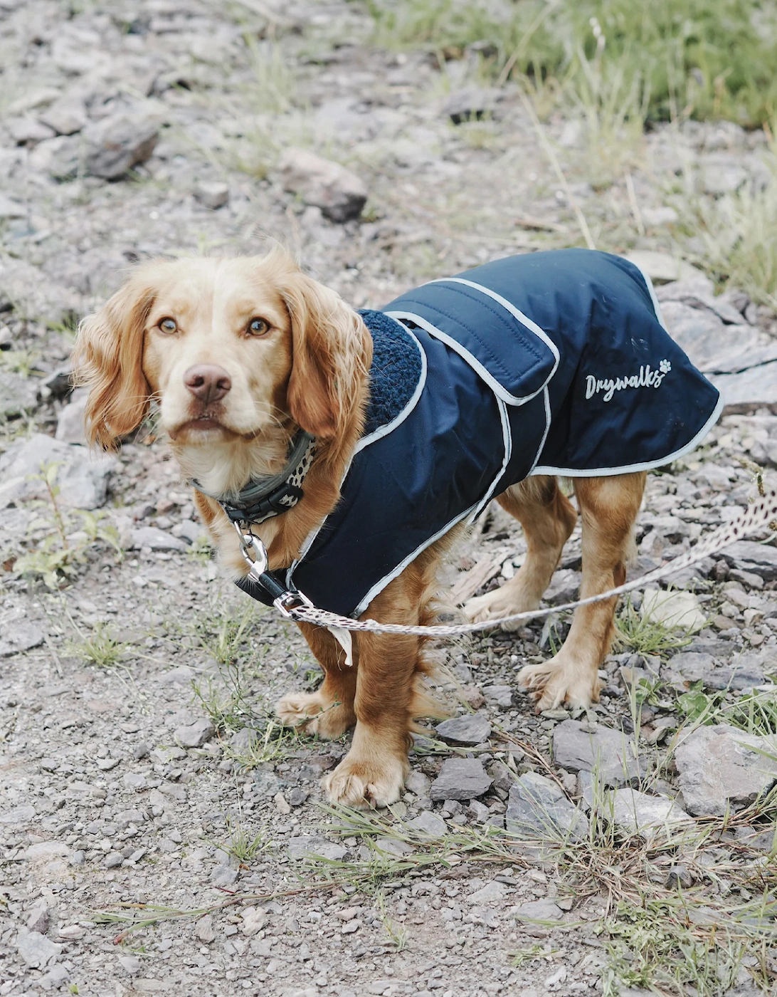 Drywalks Dog Coat Navy/Navy, 4 of 3