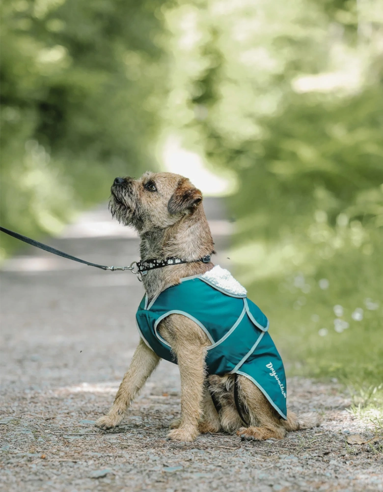 Drywalks Dog Coat Teal/Teal