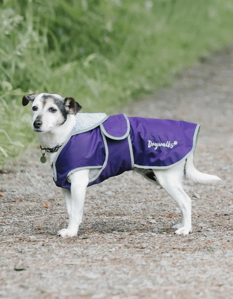 Drywalks Dog Coat Purple/Purple