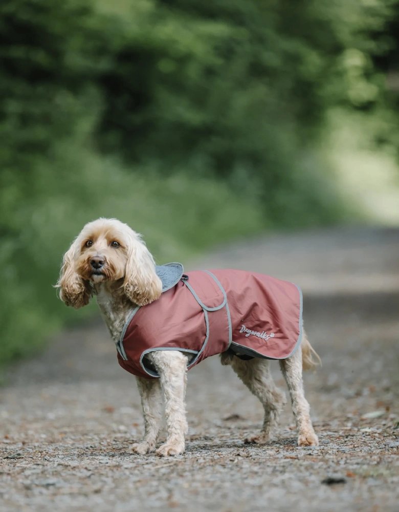 Drywalks Dog Coat Chestnut/Charcoal