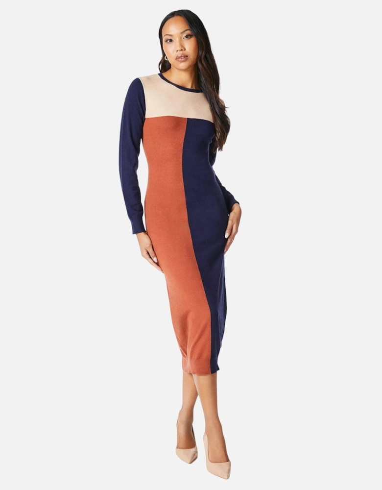 Womens/Ladies Colour Block Knitted Midi Dress