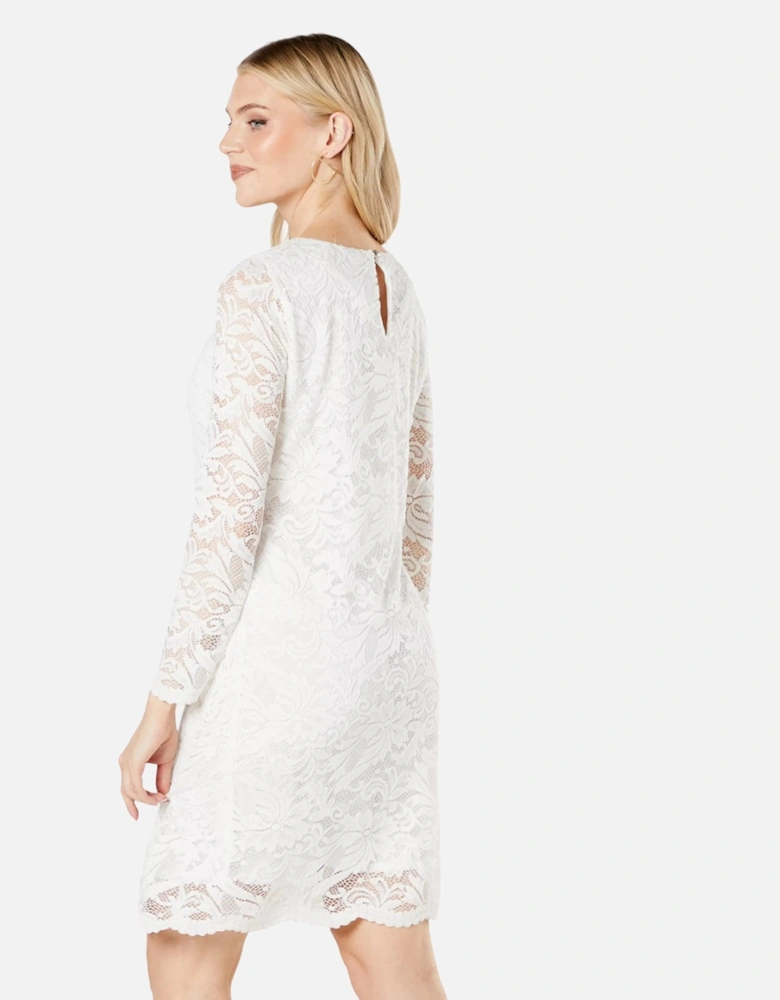 Womens/Ladies Lace 3/4 Sleeve Dress