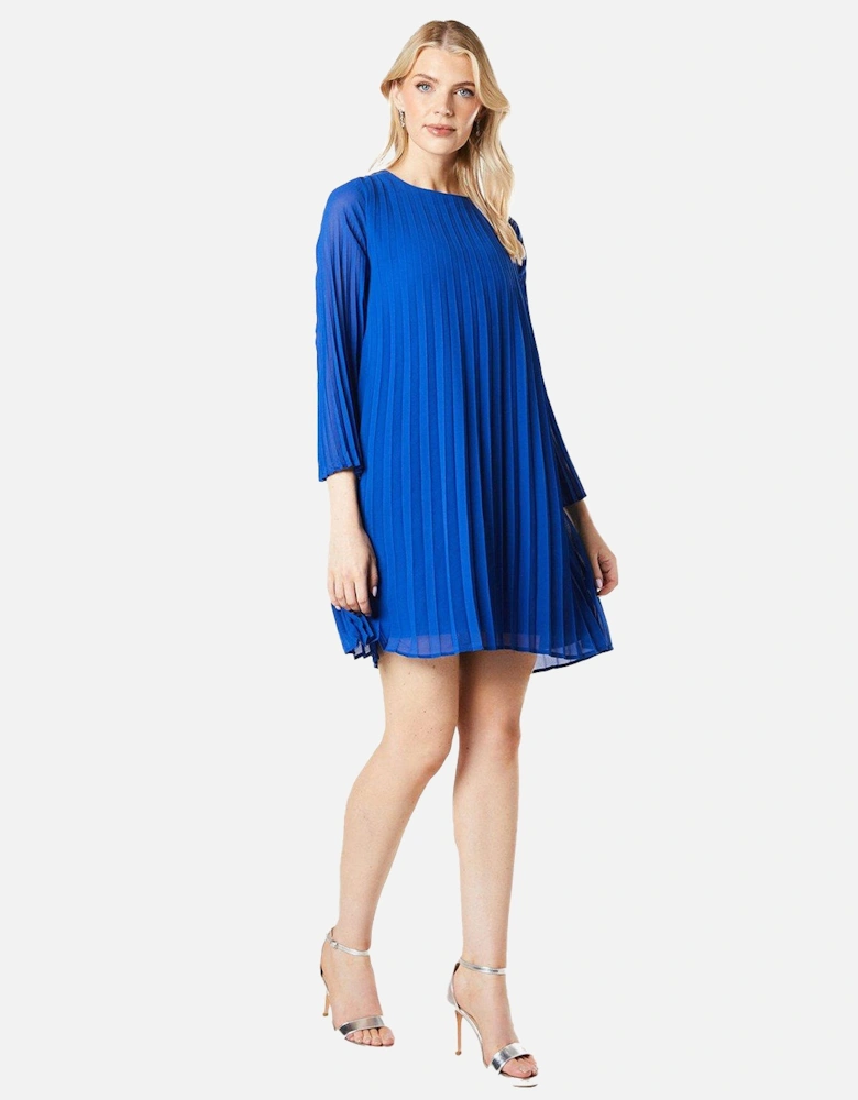 Womens/Ladies Graduated Pleated Shift Dress