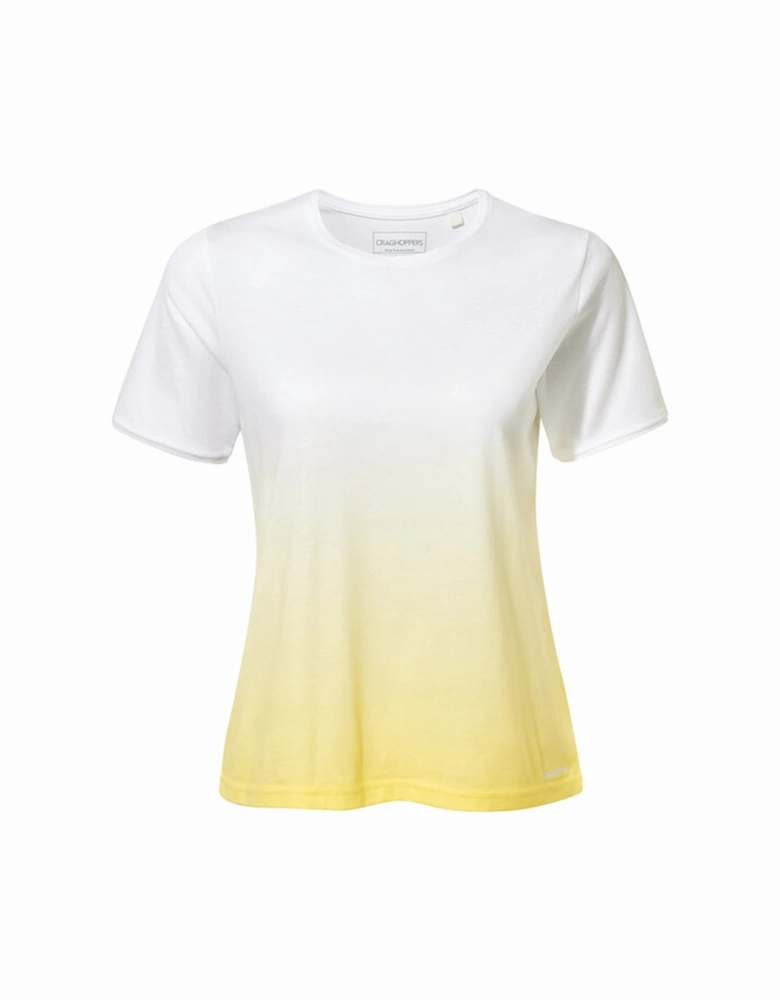 Womens/Ladies Ilyse Ombre T-Shirt