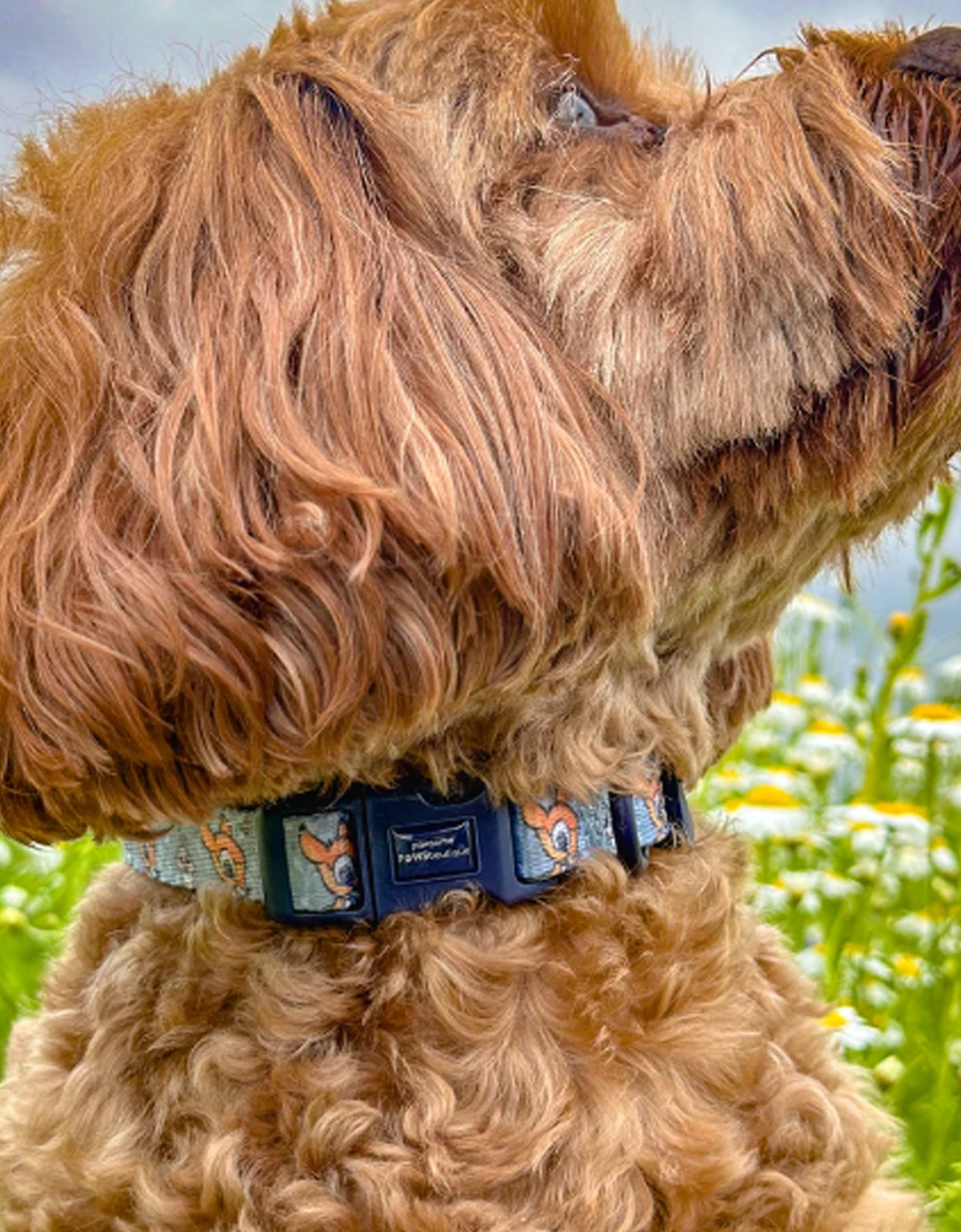 Disney Collar Bambi + Friends Blue