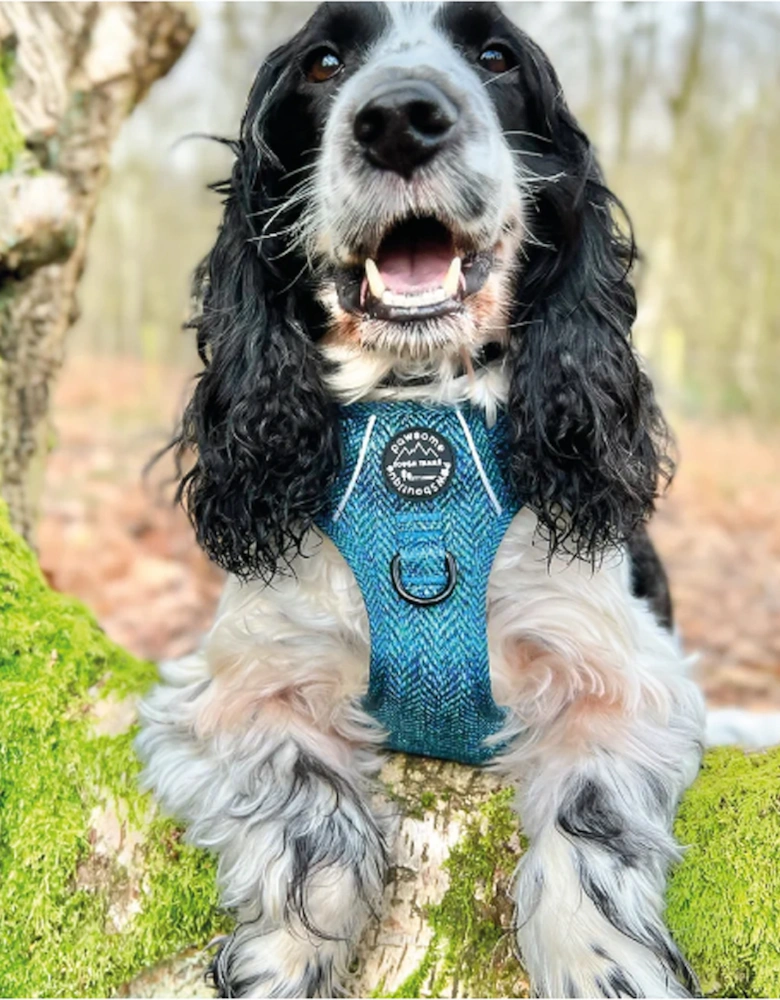 Tough Trails Harness Country Teal