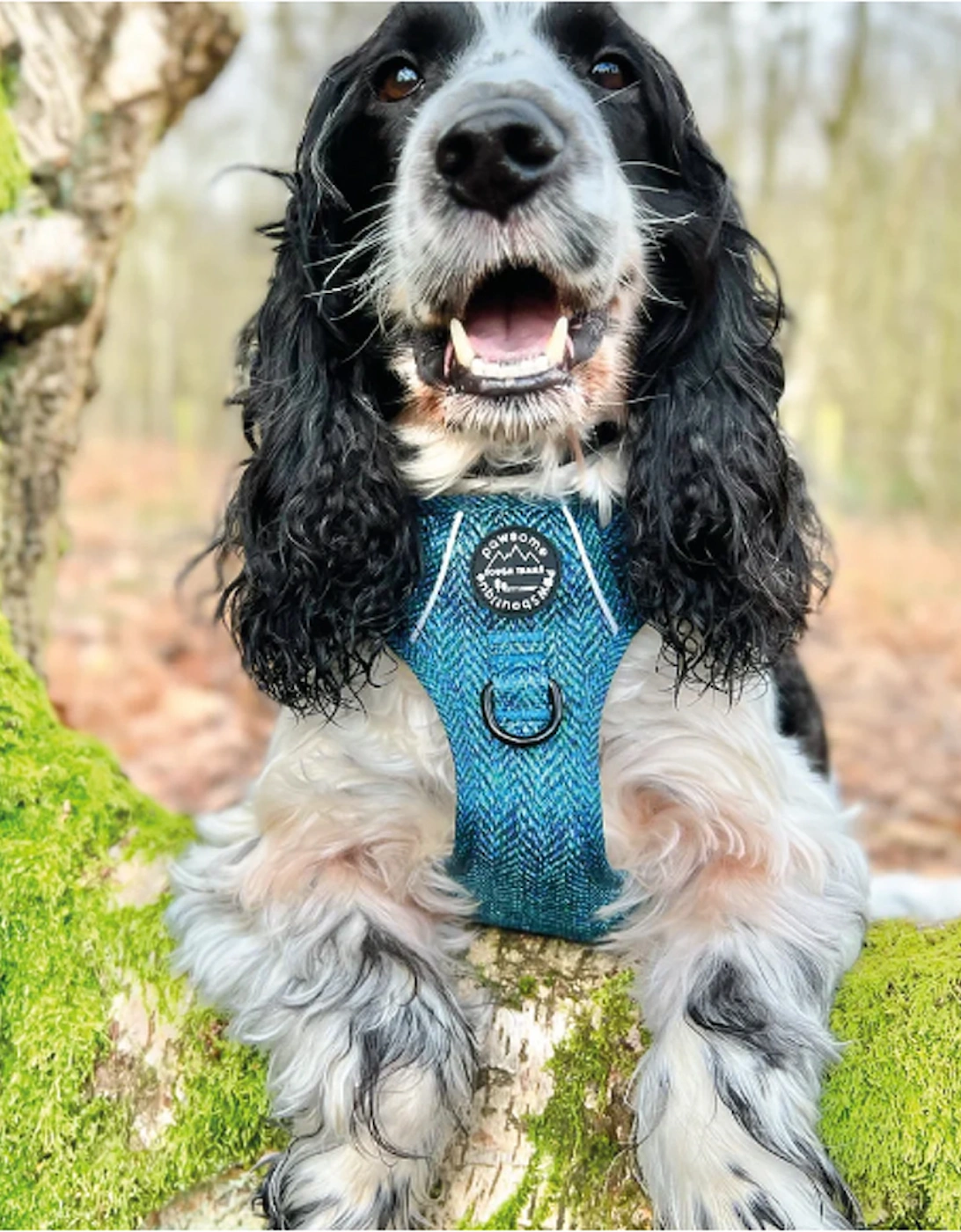 Tough Trails Harness Country Teal