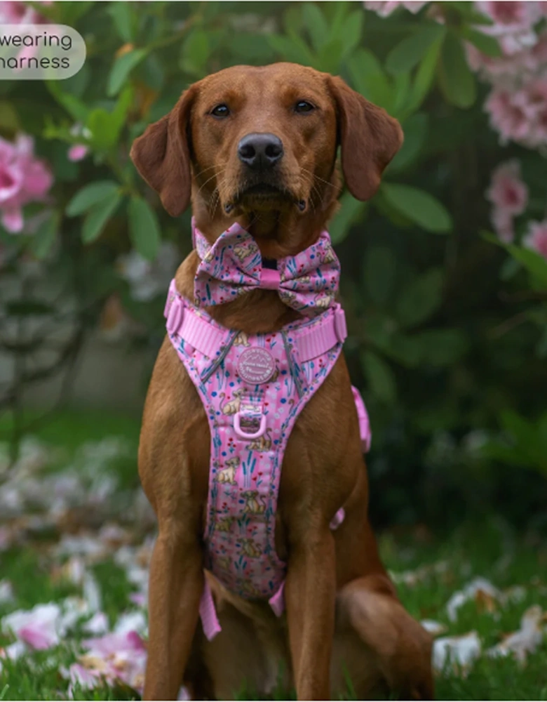 Disney Tough Trails Harness Nala