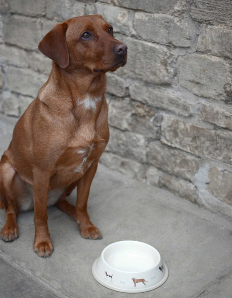 Woof Small Bowl