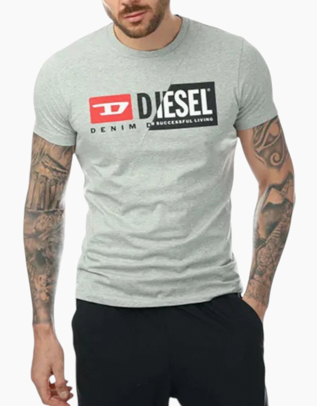 Diesel Men's Grey T Diego Cuty T Shirt Crew Neck Short Sleeve Maglietta Duel Logo Tee  36 S
