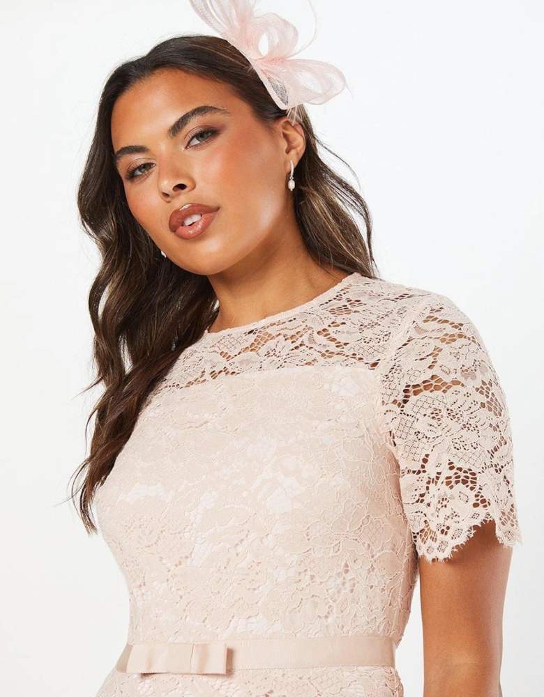 Lace And Crepe Full Skirted Midi Dress