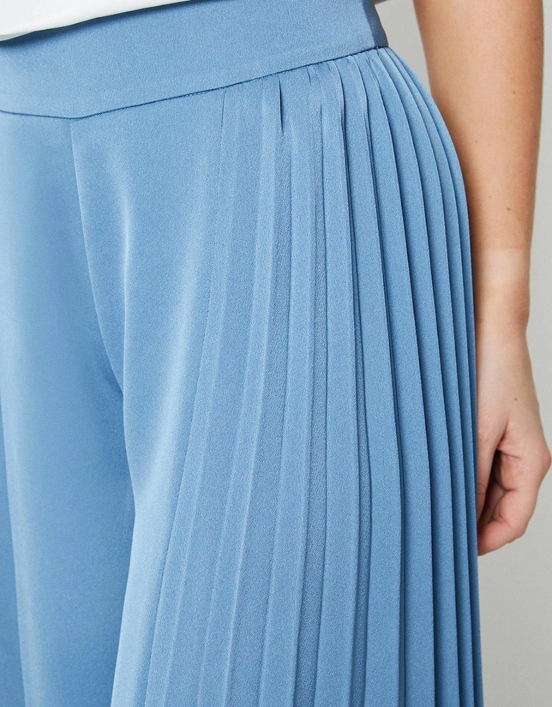 Side Panel Pleated Wide Leg Trousers