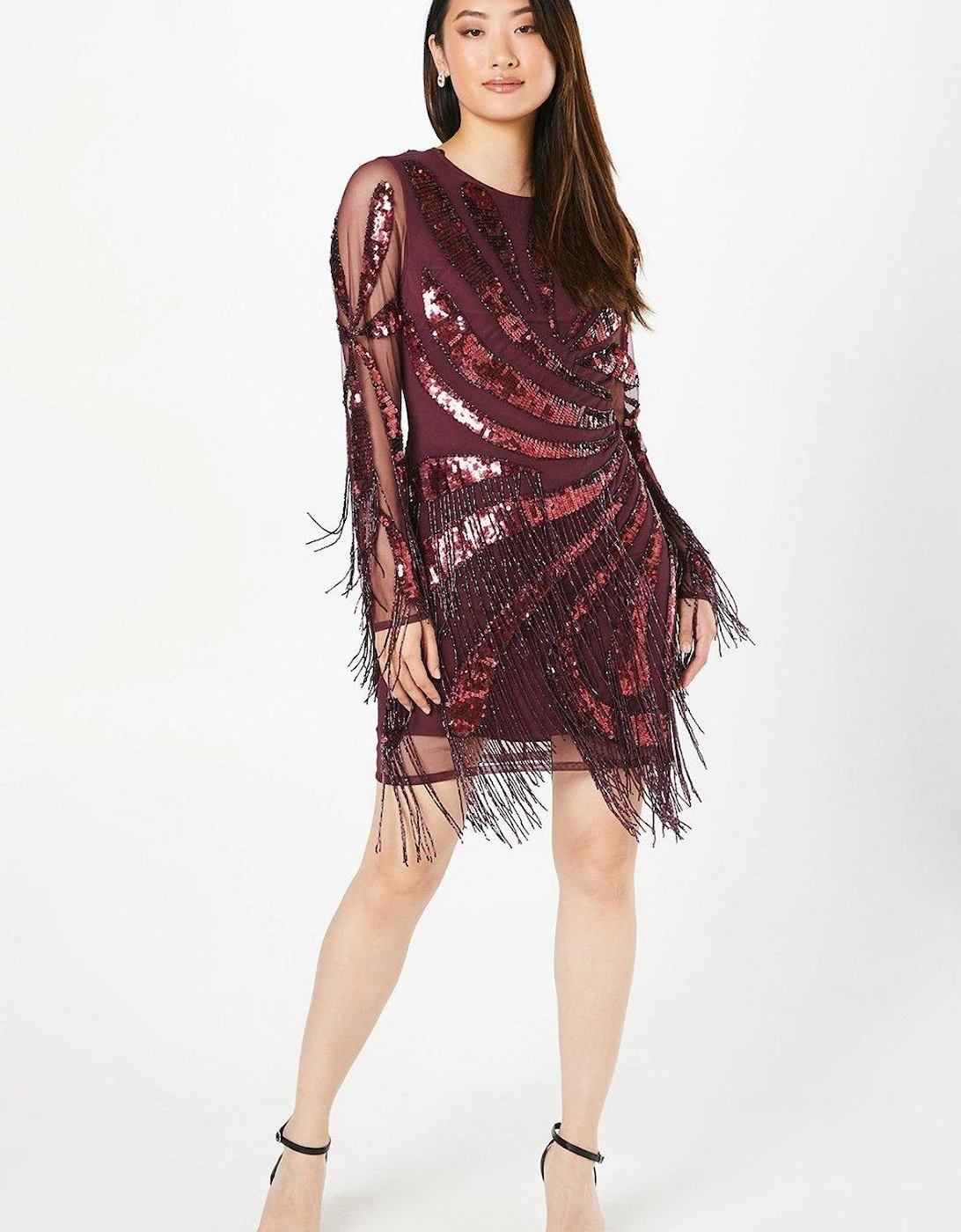 Party Sequin Long Sleeve Fringe Burgundy Mini Dress