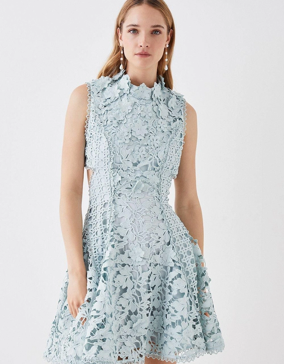 The Collector Applique Lace Mini Dress