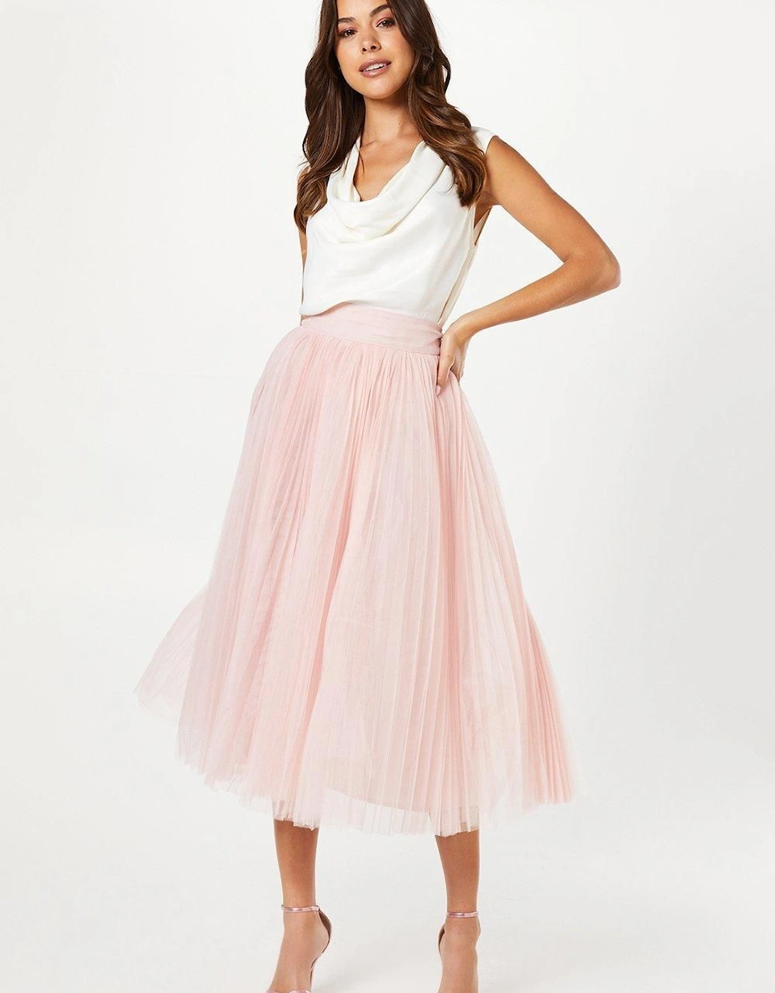 Pleated Mesh Full Midi Skirt, 5 of 4