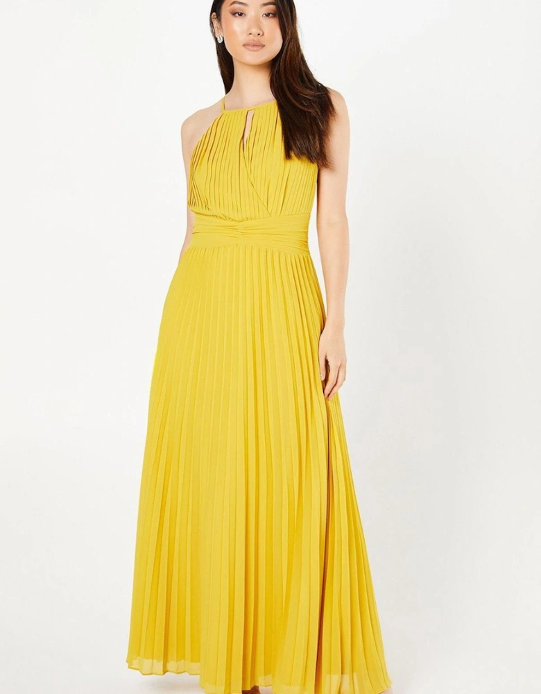 All Over Pleated Georgette Halter Neck Maxi Dress