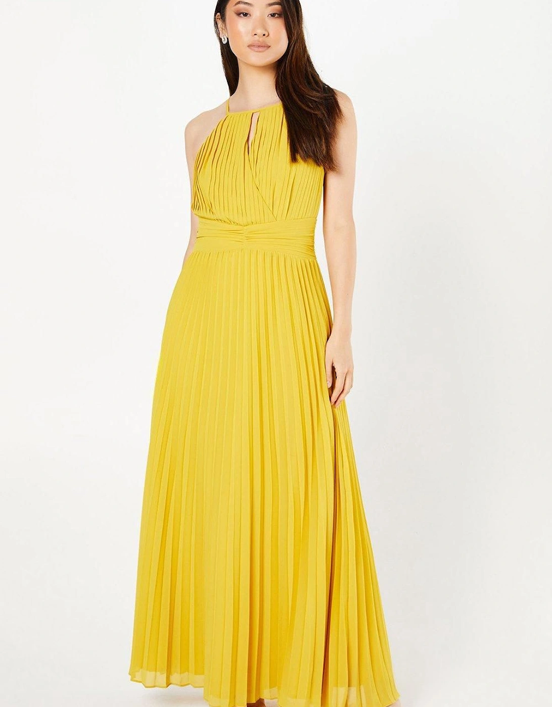 All Over Pleated Georgette Halter Neck Maxi Dress, 6 of 5