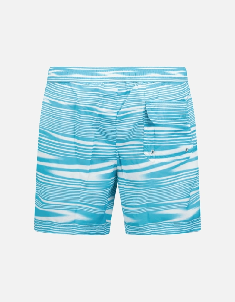 Stripe Swim Shorts Blue & White