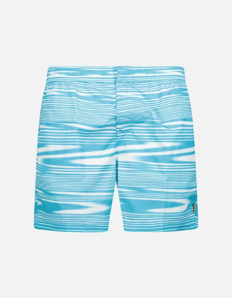 Stripe Swim Shorts Blue & White