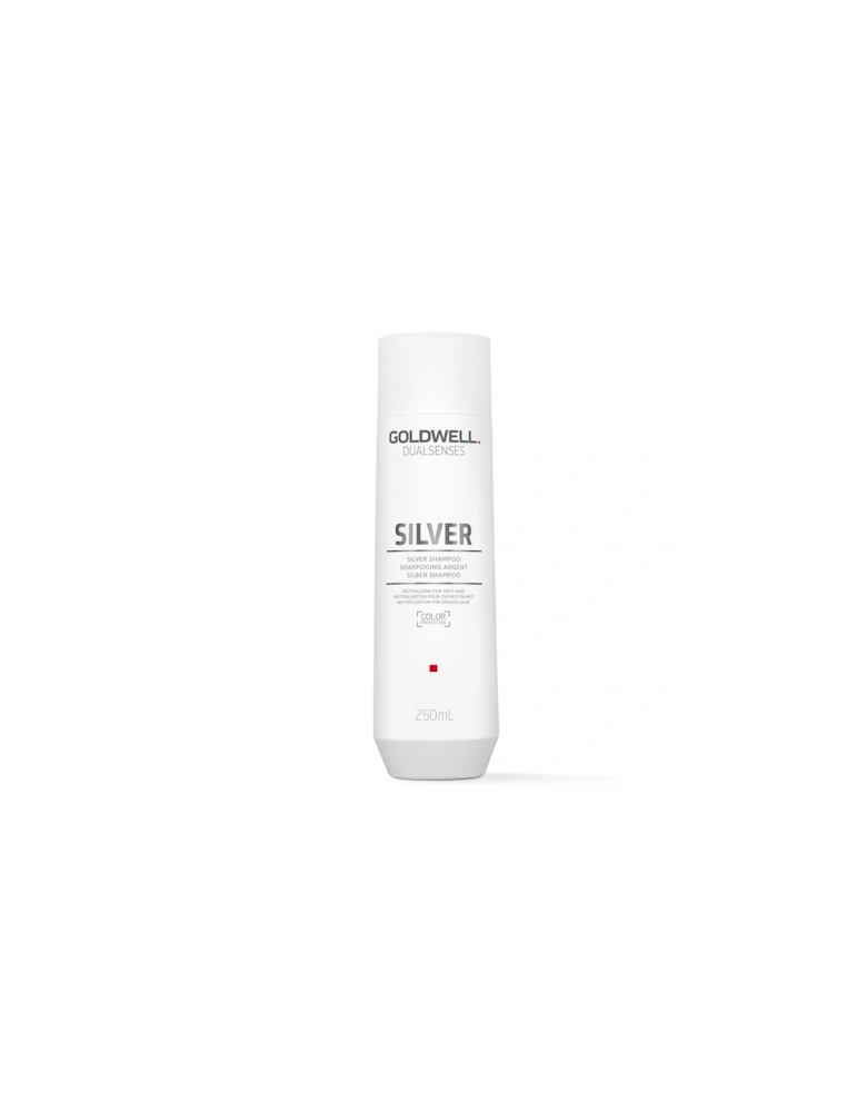 Dualsenses Silver Shampoo 250ml - Goldwell