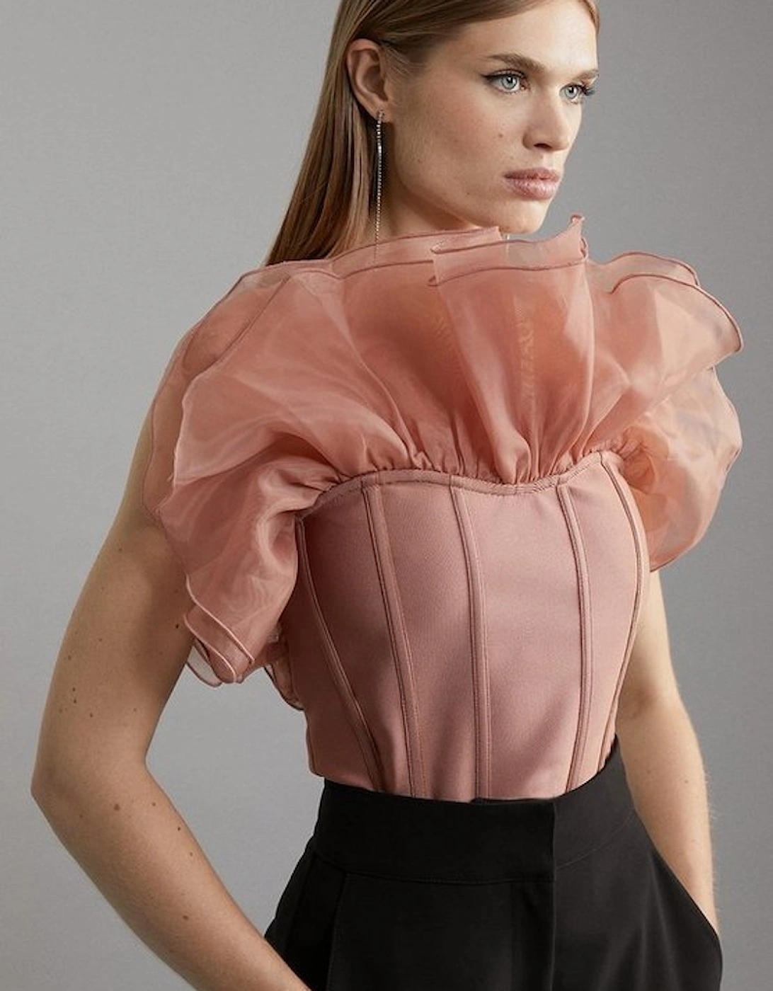 Figure Form Bandage Knit Organza Frill Detail Top, 5 of 4