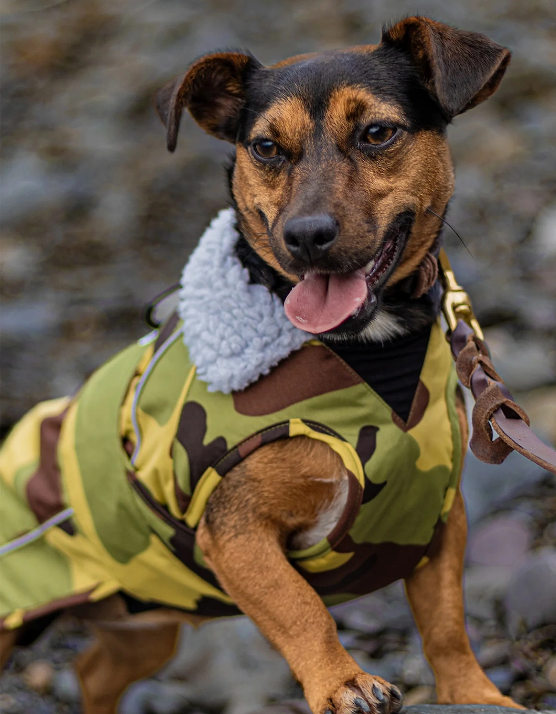 Dog Coat Camo Grey