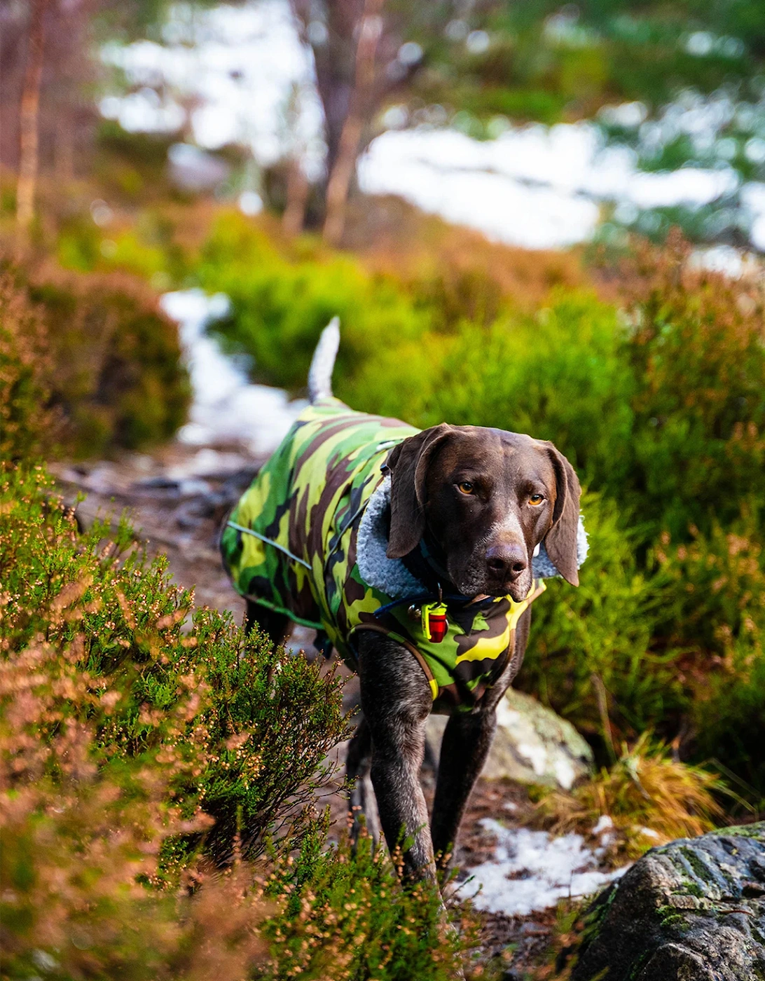 Dog Coat Camo Grey