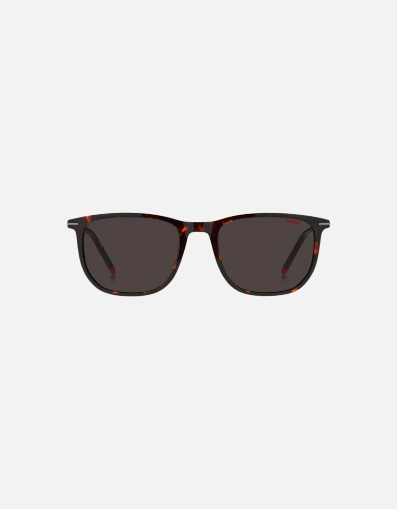 1204 0086 Ir Havana Sunglasses