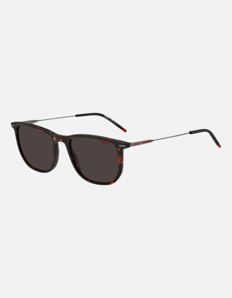 1204 0086 Ir Havana Sunglasses