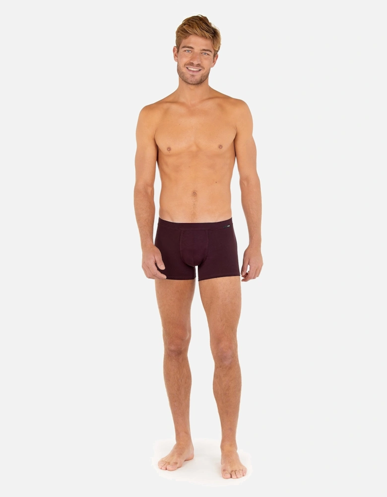 Tencel Soft Comfort Boxer Trunk, Burgundy