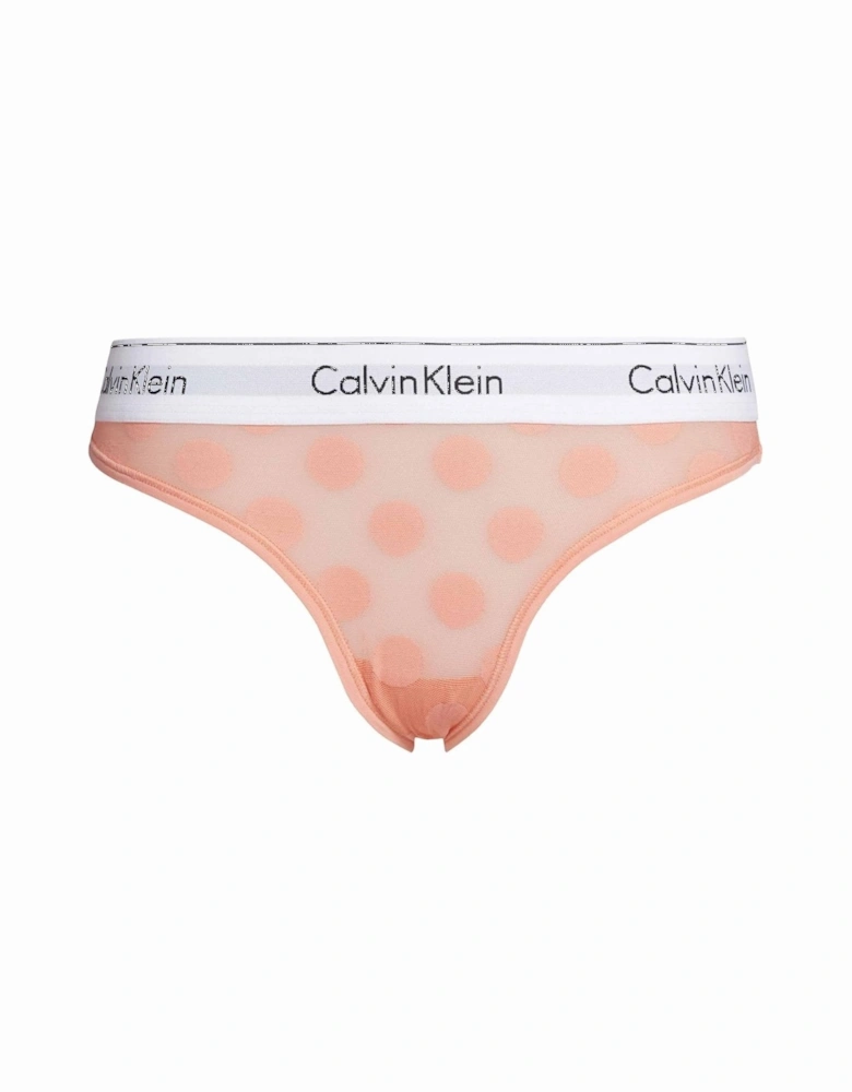 Modern Cotton Dot Light Lined Bikini Brief, Gerbera Daisy