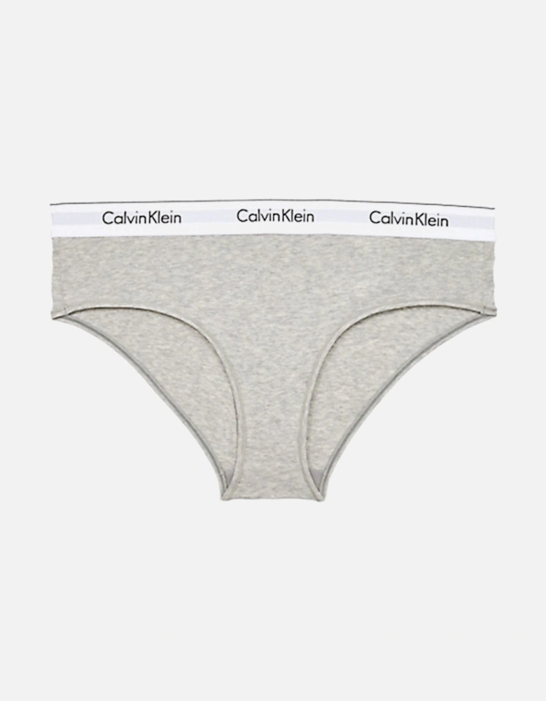 Modern Cotton Plus Hipster Brief, Grey