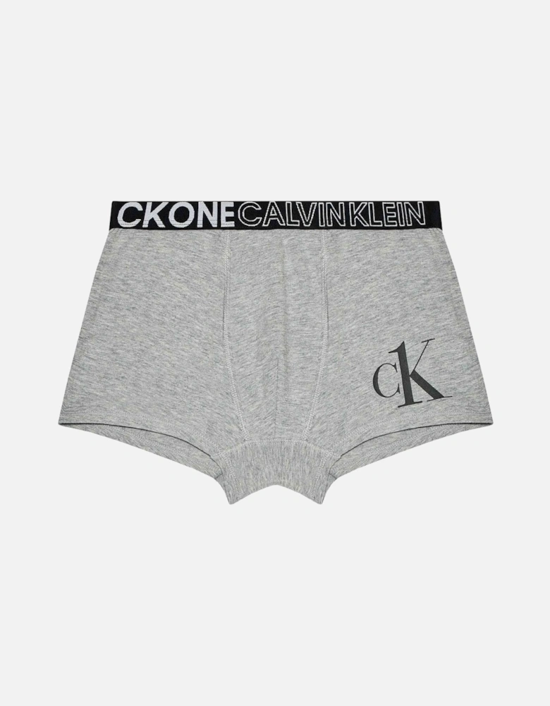 Boys 2 Pack CK One Boxer Trunk, Grey Heather/PVH White