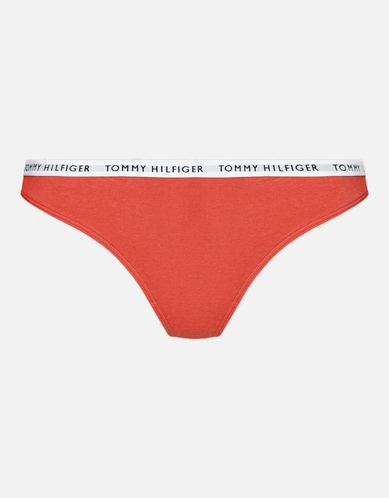 Cotton 3-Pack Thong, Cranberry/Aqua/Saltwater Green