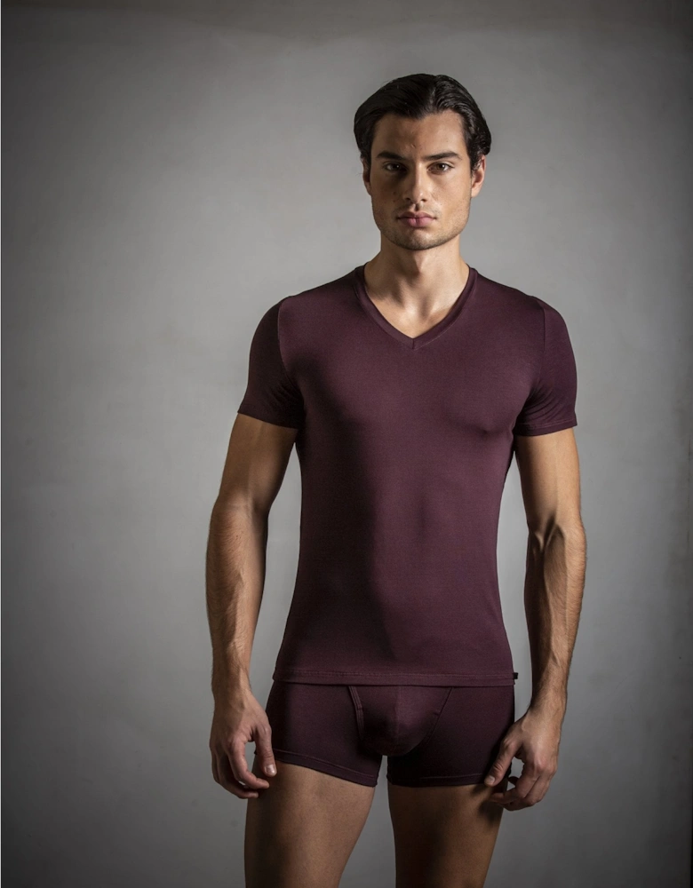 Tencel Soft V-Neck T-Shirt, Burgundy