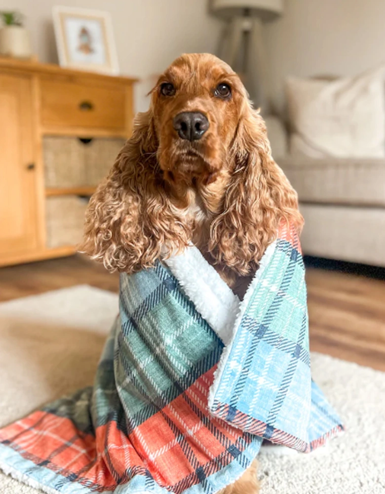 Dog Blanket Harvest Plaid