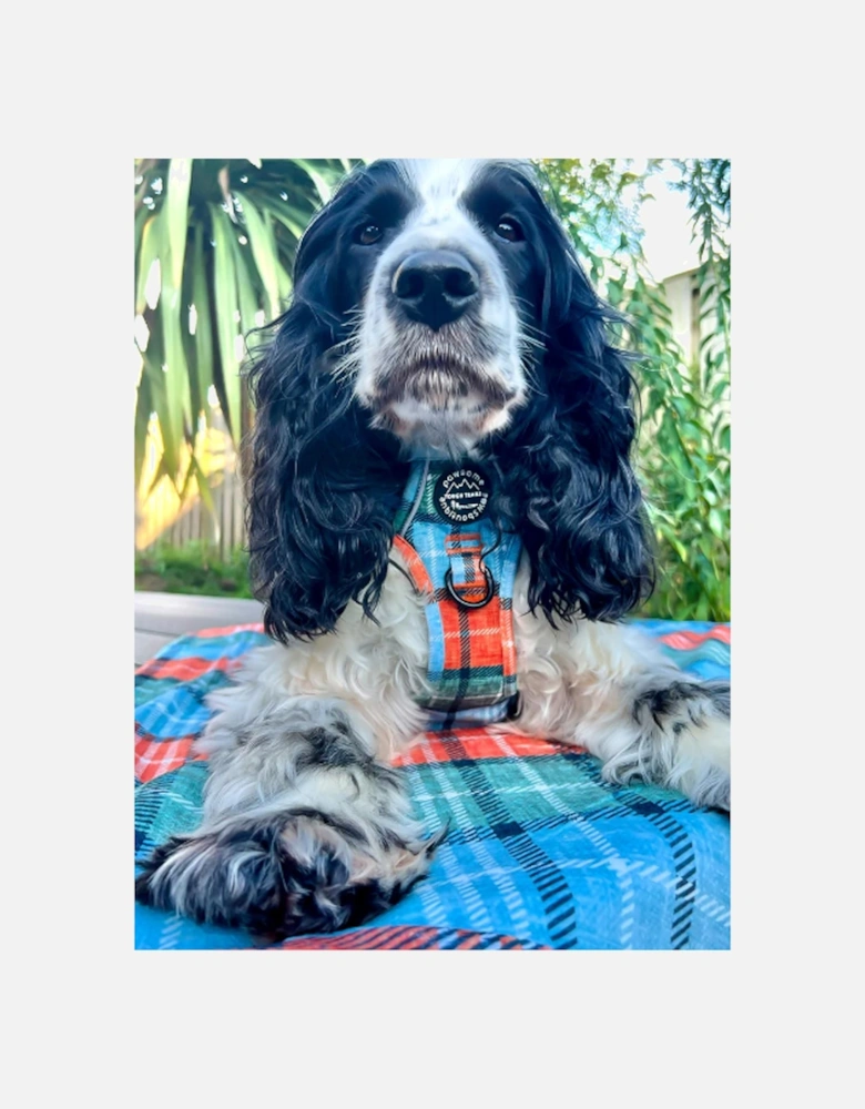 Dog Blanket Harvest Plaid