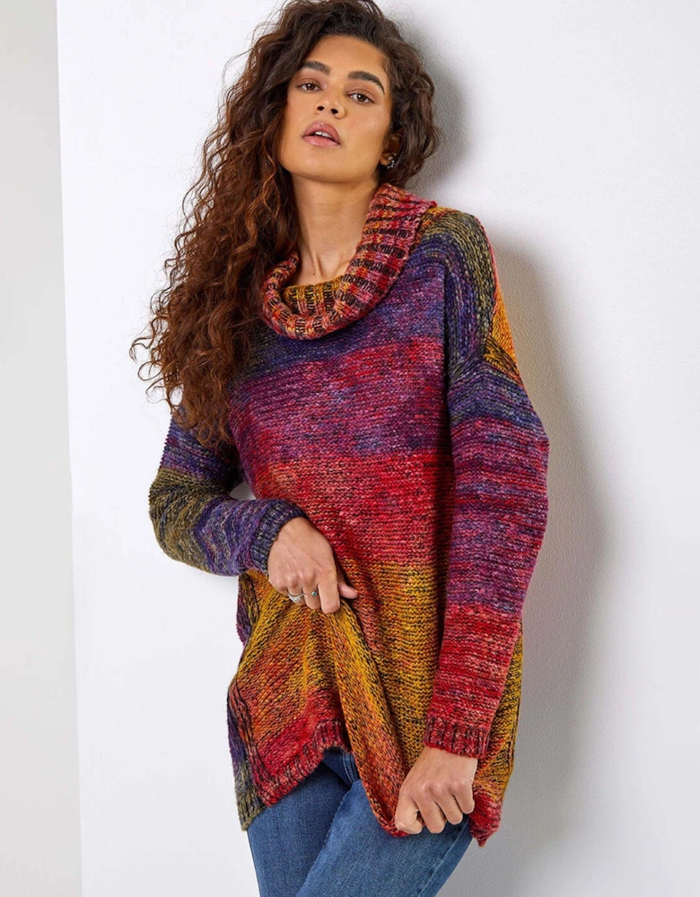 Roll Neck Chunky Knit Jumper - Multi