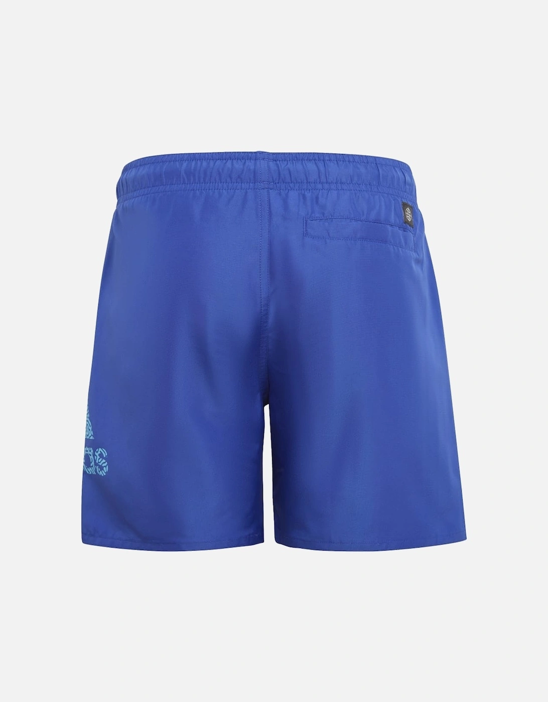 Boys Logo CLX Swim Shorts