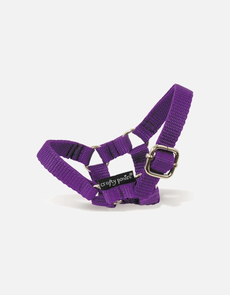 Head Collar Purple