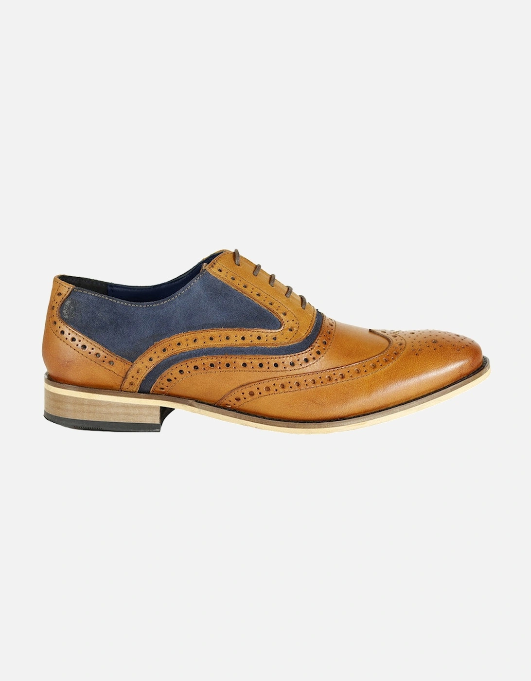 Spencer Brogue Shoes - Tan & Navy