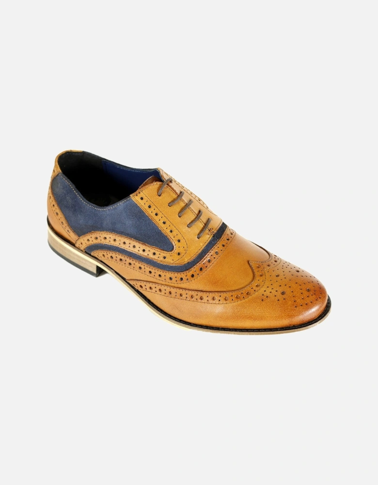 Spencer Brogue Shoes - Tan & Navy