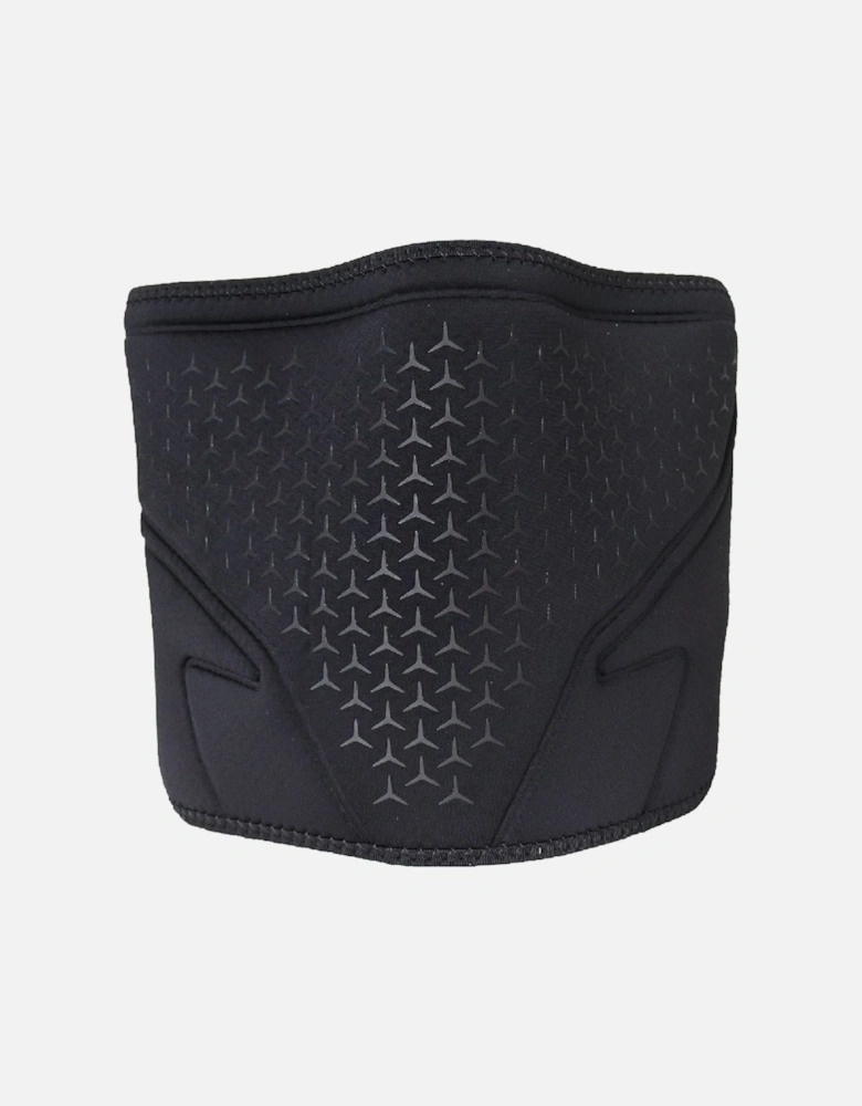 Pro 3.0 Back Brace