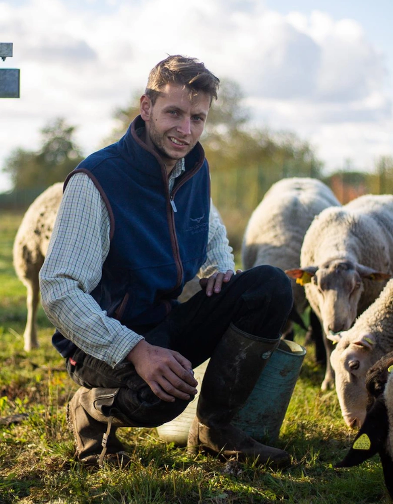 Longhorn Gilet Oxford Navy