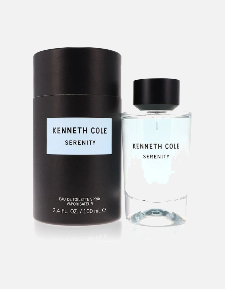 Serenity by Eau De Toilette Spray (Unisex) 3.4 oz for Men - Amber