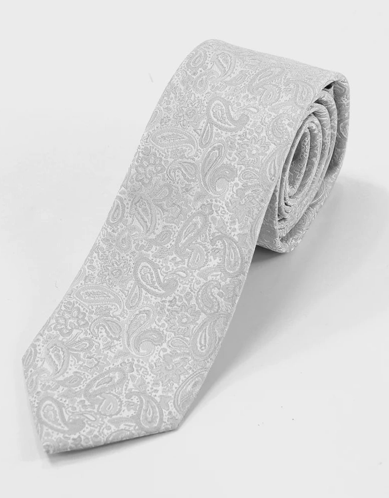 Tie Microfiber Paisley on Hanger - Silver