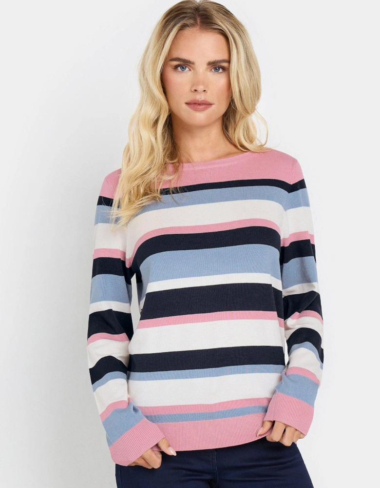 Petite Stripe Jumper - Blue